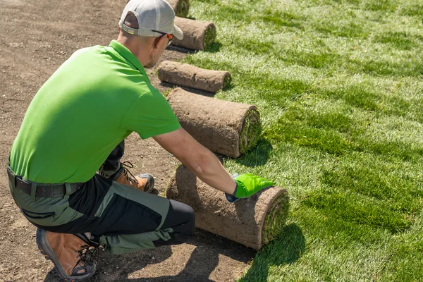 Sod Installation